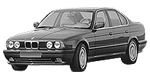 BMW E34 U255D Fault Code